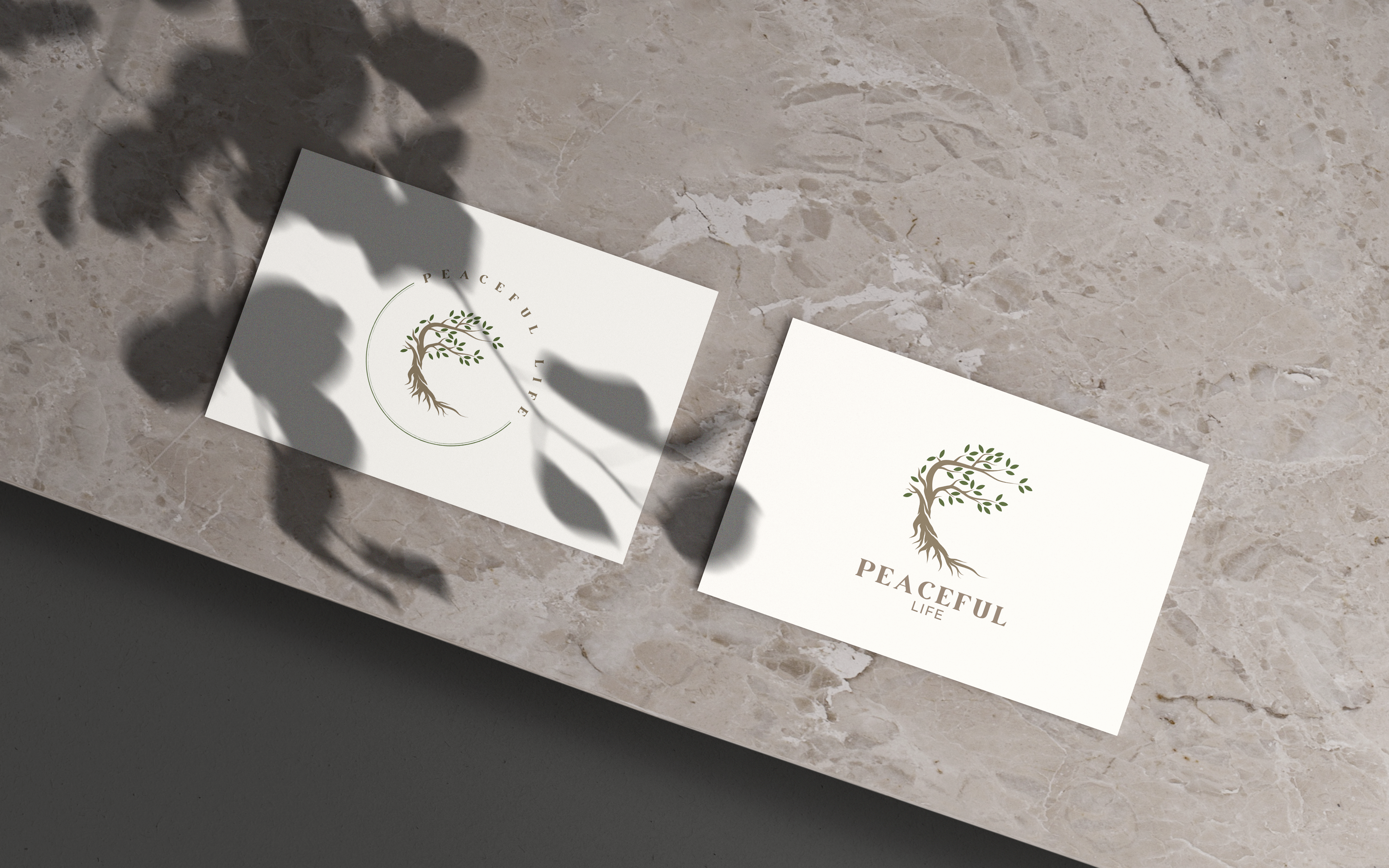 Branding project 8