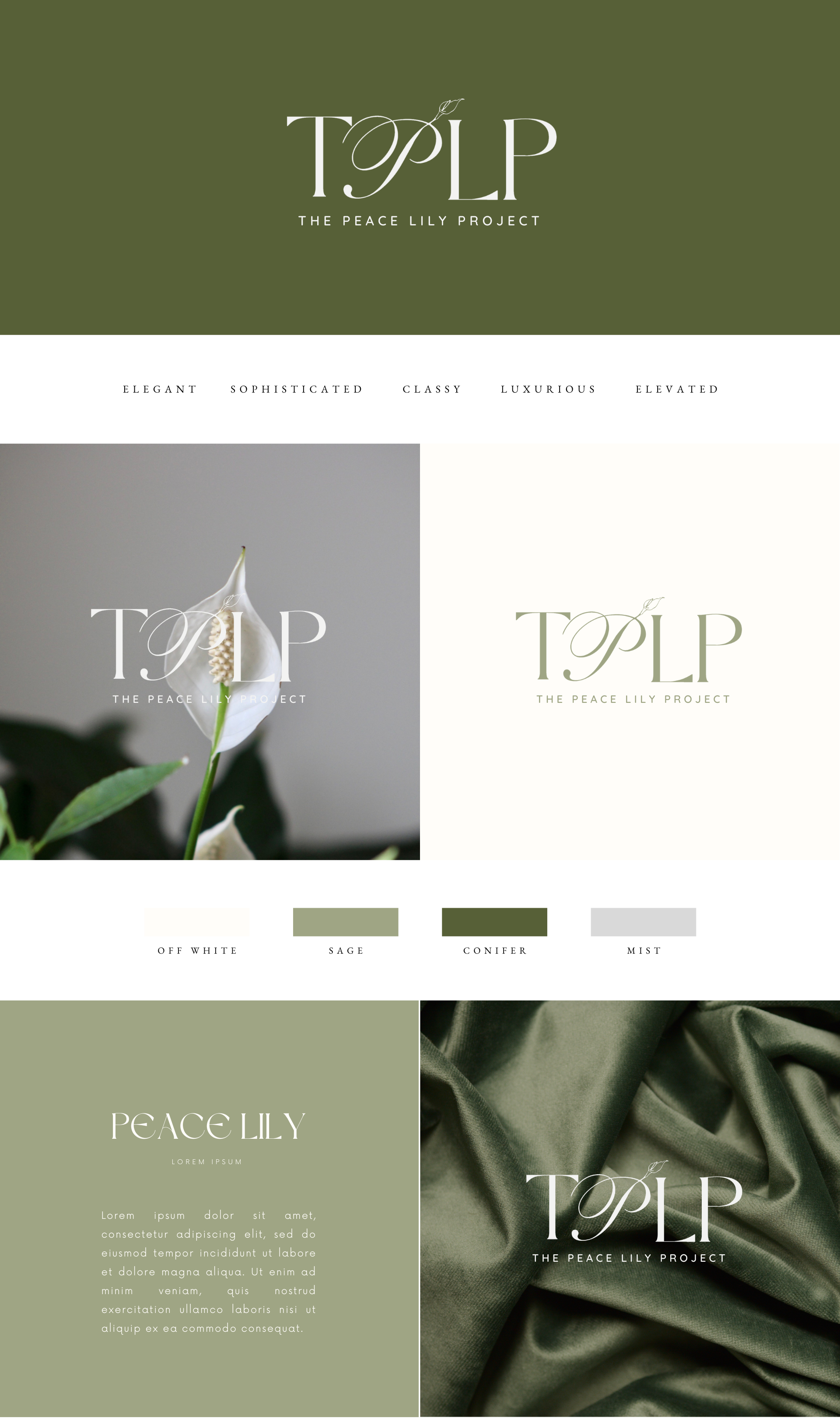 Branding project 9